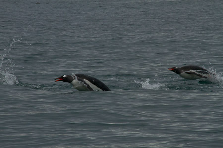 AntL_2012-2610