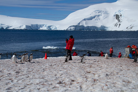 AntL_2012-5098