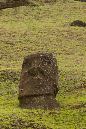AntL_2012-5828